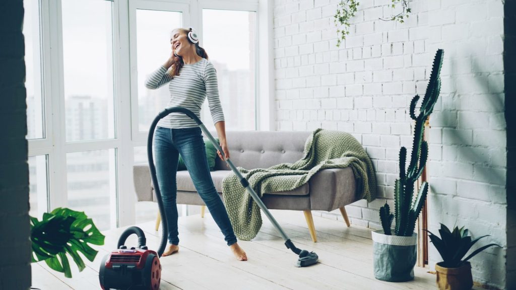 dubinski usisivač